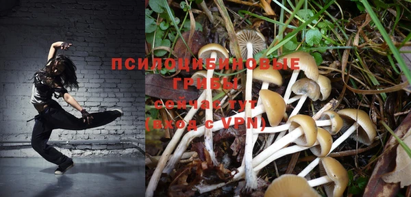 PSILOCYBIN Бронницы