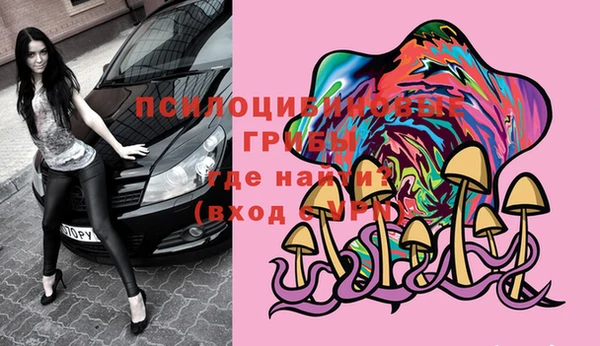 винт Бородино