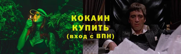 винт Бородино