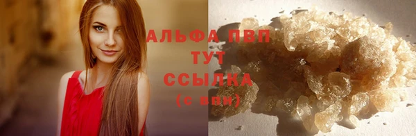 винт Бородино