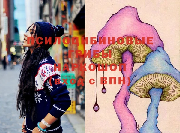 PSILOCYBIN Бронницы