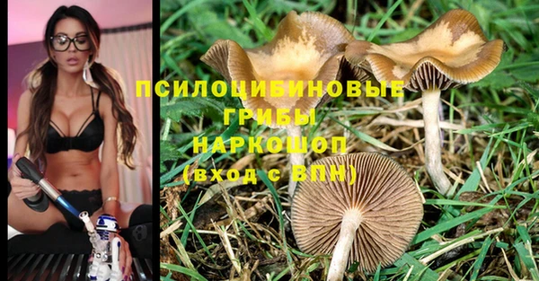 винт Бородино