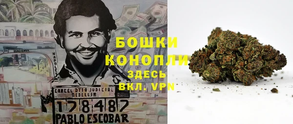 PSILOCYBIN Бронницы