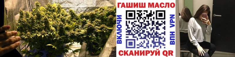 цена   Прокопьевск  Дистиллят ТГК гашишное масло 