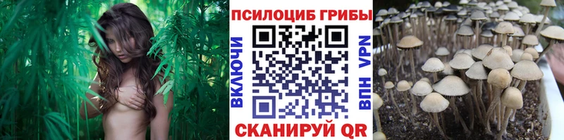 хочу блэк спрут маркетплейс Галлюциногенные грибы мицелий Прокопьевск